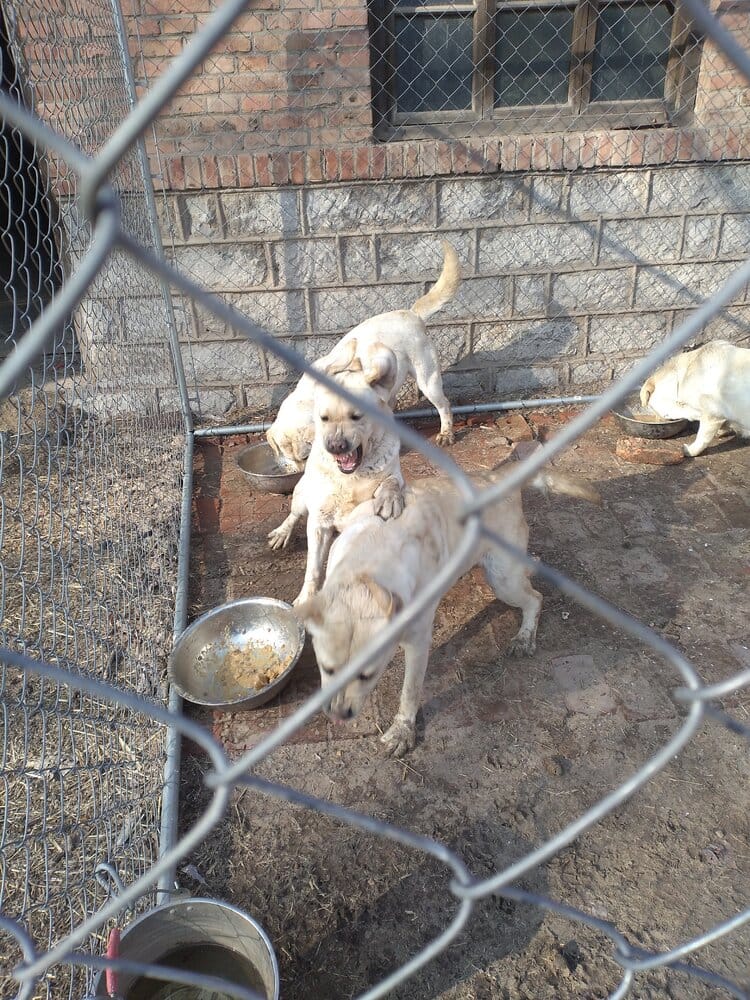 2295745 IMG 20210302 153035