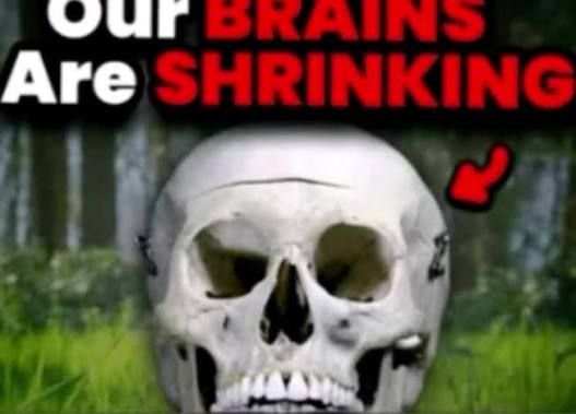 39c06e0bc35e584f1dc23a027231ec5b