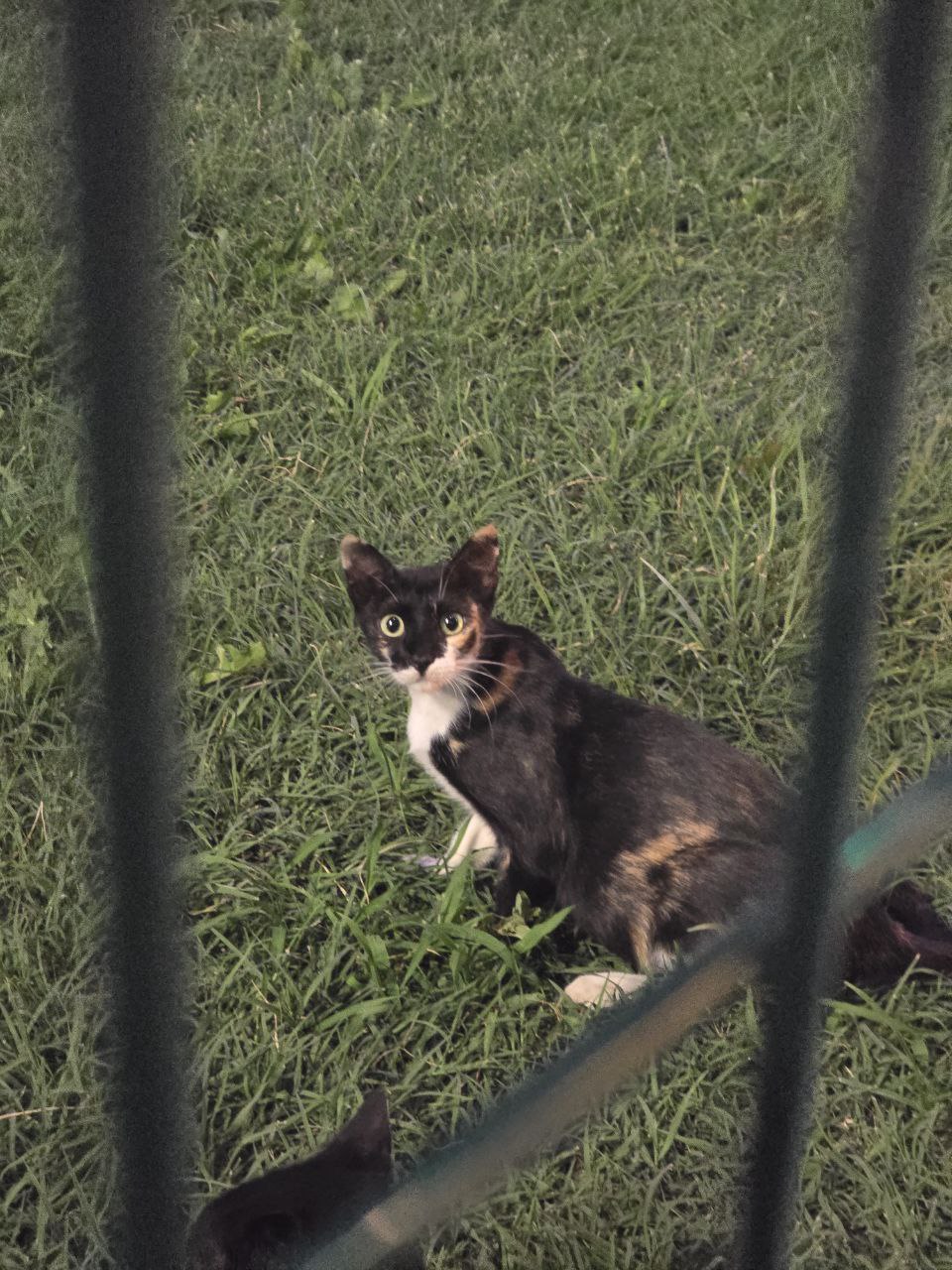 IMG 20251129 173522 672