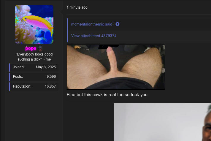 1764517438653