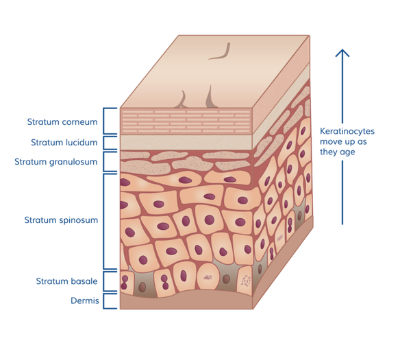 5000675 1748496357847