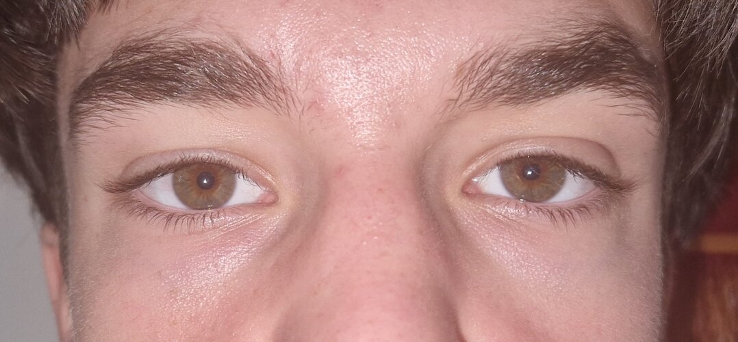 WhatsApp Bild 2025-11-02 um 14.44.52_1e183a82.jpg