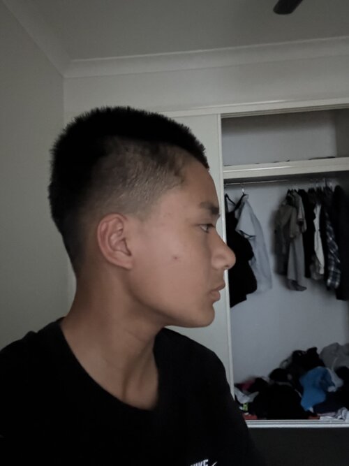 IMG 0554