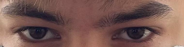 IMG_2066.jpeg