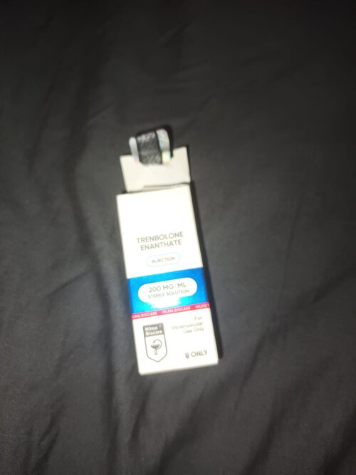 WhatsApp Image 2025-11-09 at 01.44.33.jpeg