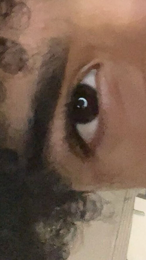 IMG_2467.jpeg
