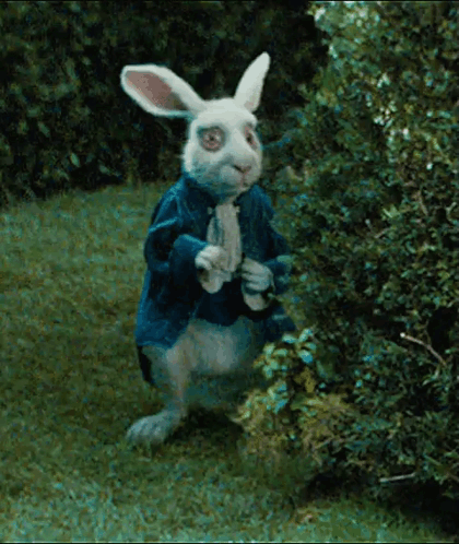 alice-in-wonderland-rabbit.gif