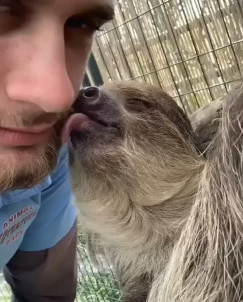 Bildschirmfoto 2025-11-14 um 20.10.12.png