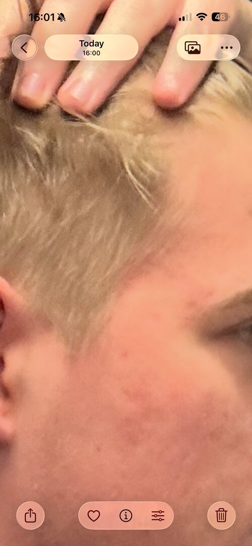 SPOILER E6AF0359 23F6 4A83 A1A3 7FA621805343 compressed 2