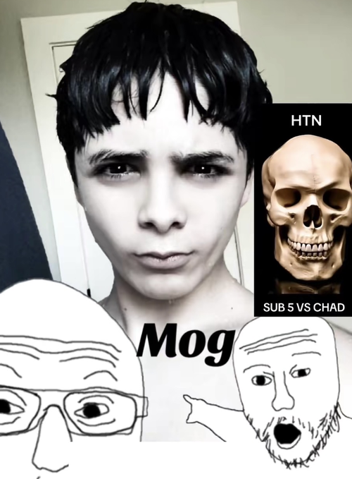 Screenshot 2025-11-15 at 5.49.15 PM.png