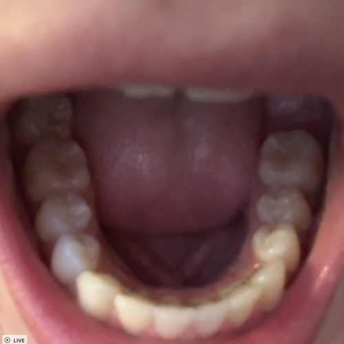 Screenshot 2025-11-18 at 11.02.59 AM.png