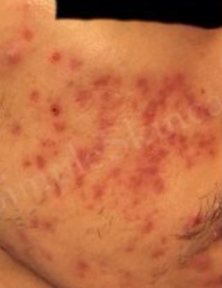 Screenshot 2025-11-21 011610.png