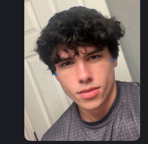 tigermogger zygo.png