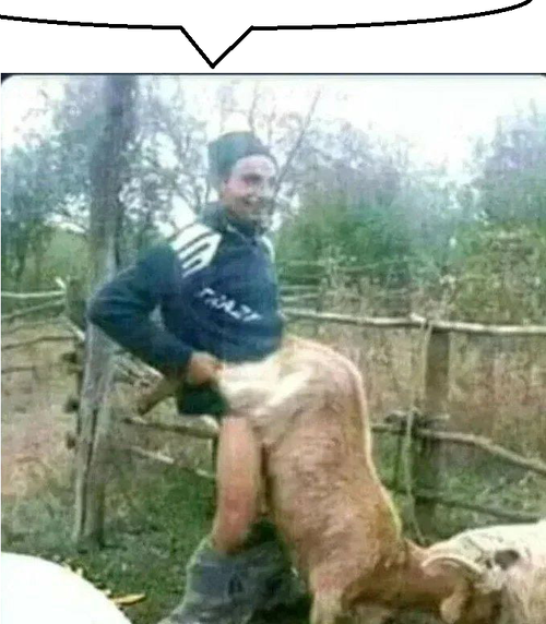 4604521 1735516999176