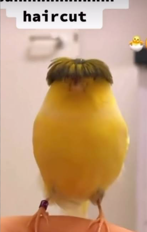 Screenshot 2025 10 02 23 05 31 413 comgoogleandroidgooglequicksearchbox