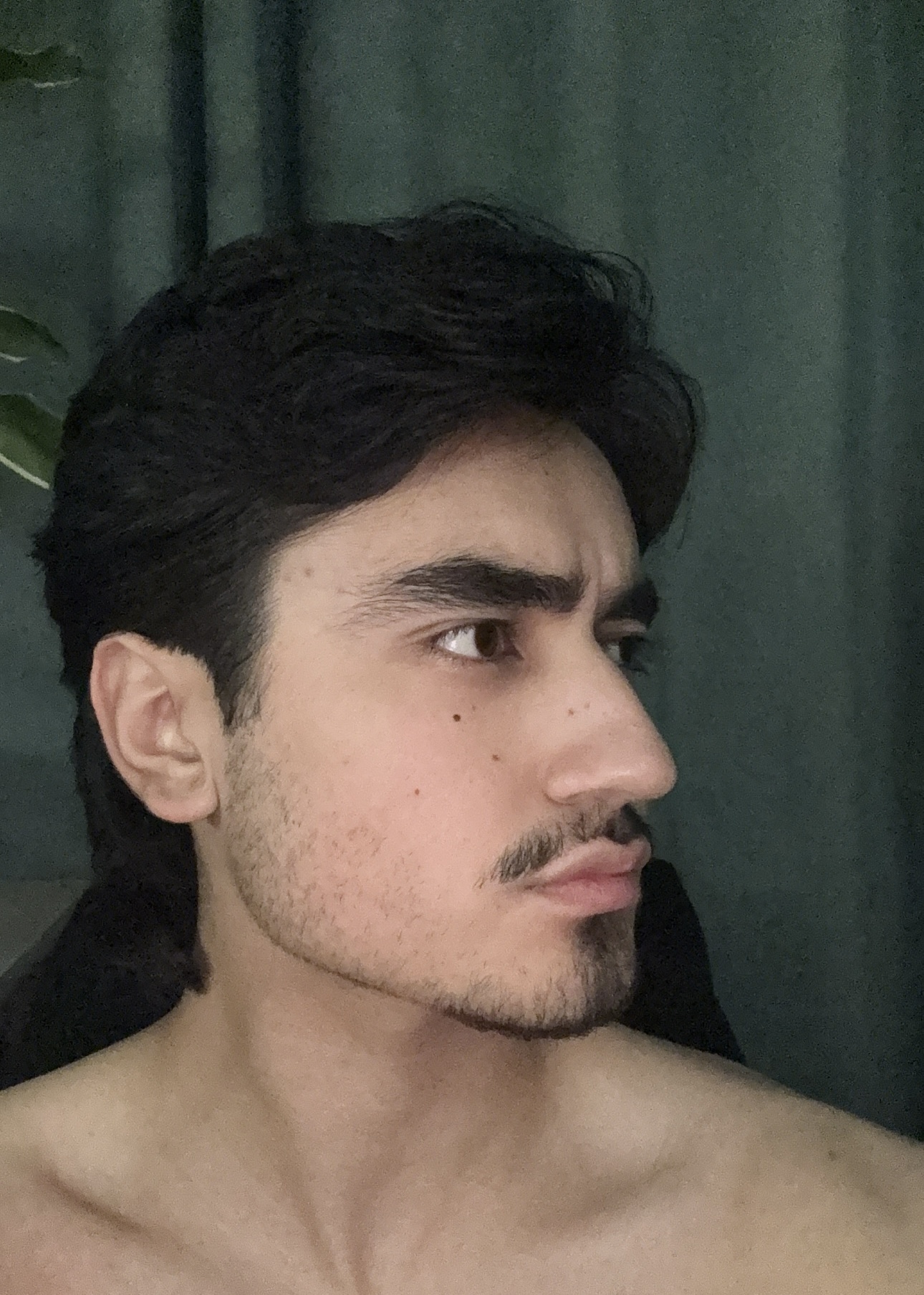 F2DE0B93 5CDB 475A B1D3 D6F88359F448