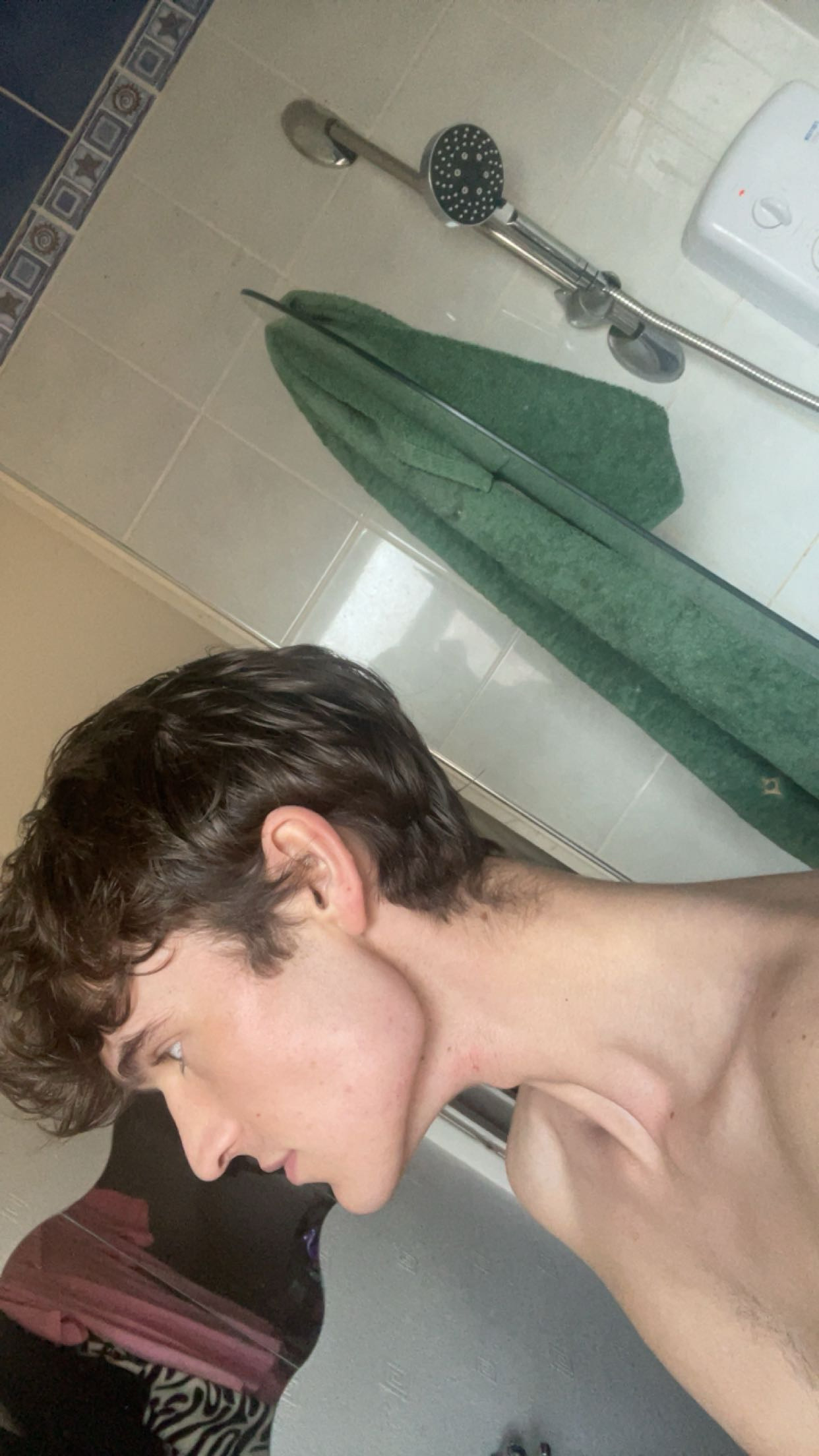IMG 3524