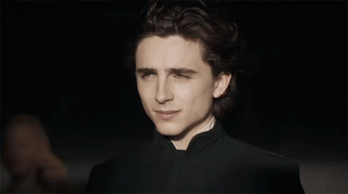 Smirk timothee chalamet 1494238956