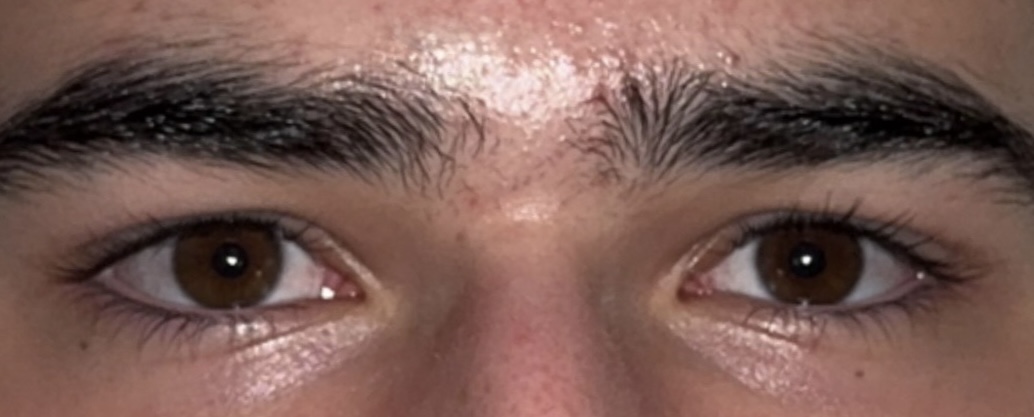 7565F68D 8729 44E9 8833 B18D68D490A7