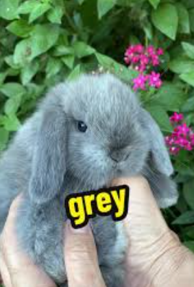 Screenshot 2025 11 24 72727 PM