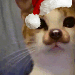 103475 ezgifcom gif maker