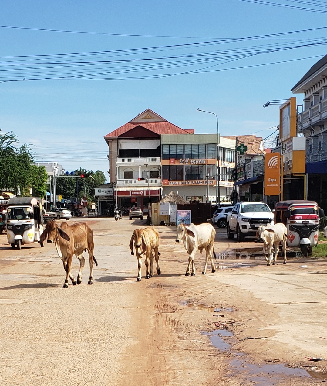 Screenshot 20251204 223836 Gallery