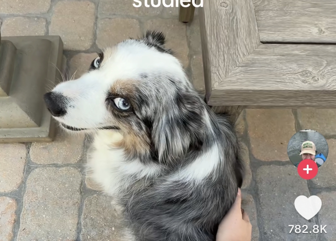 1000071745