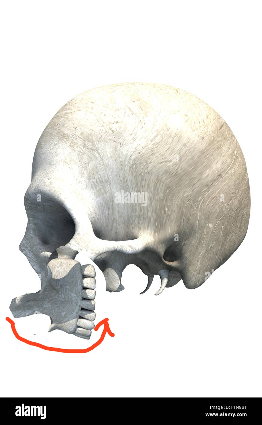 Bazaart 909D91AC 15E4 4F2A B29F 4A10128A4AF4