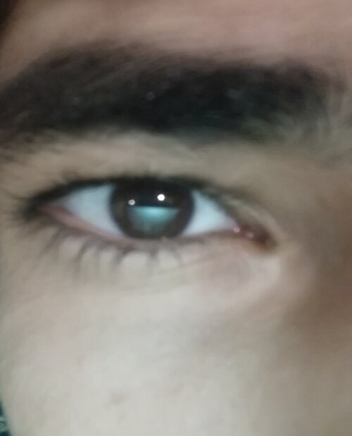 4013770 IMG 20240315 131132