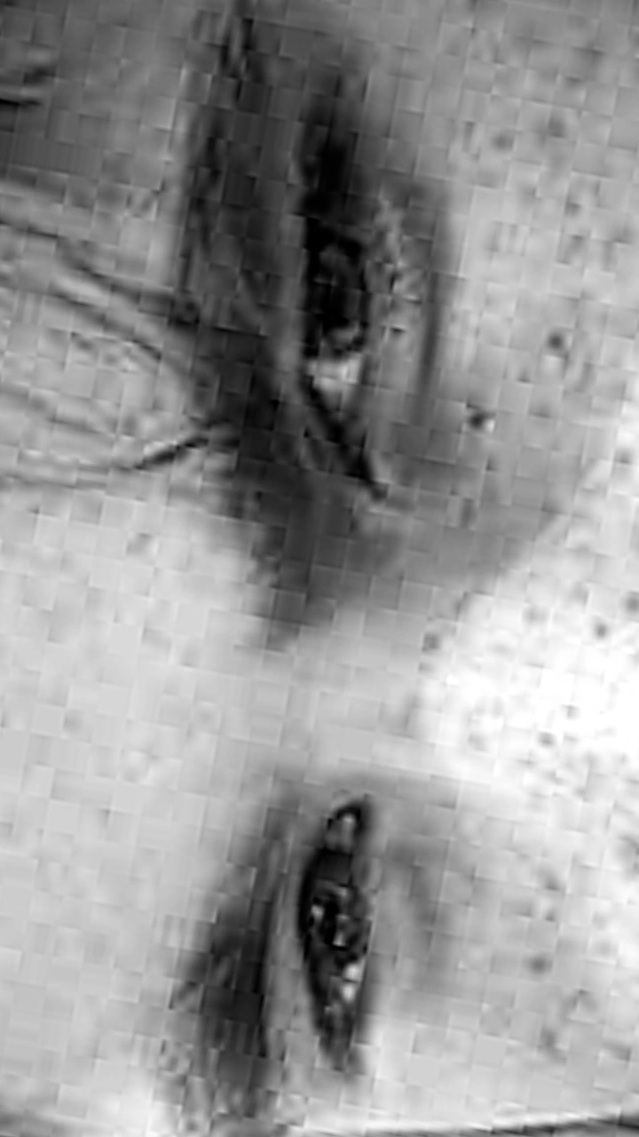 IMG 20251206 132000 592