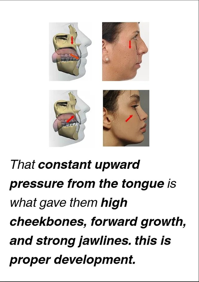 5622344 1765057978502