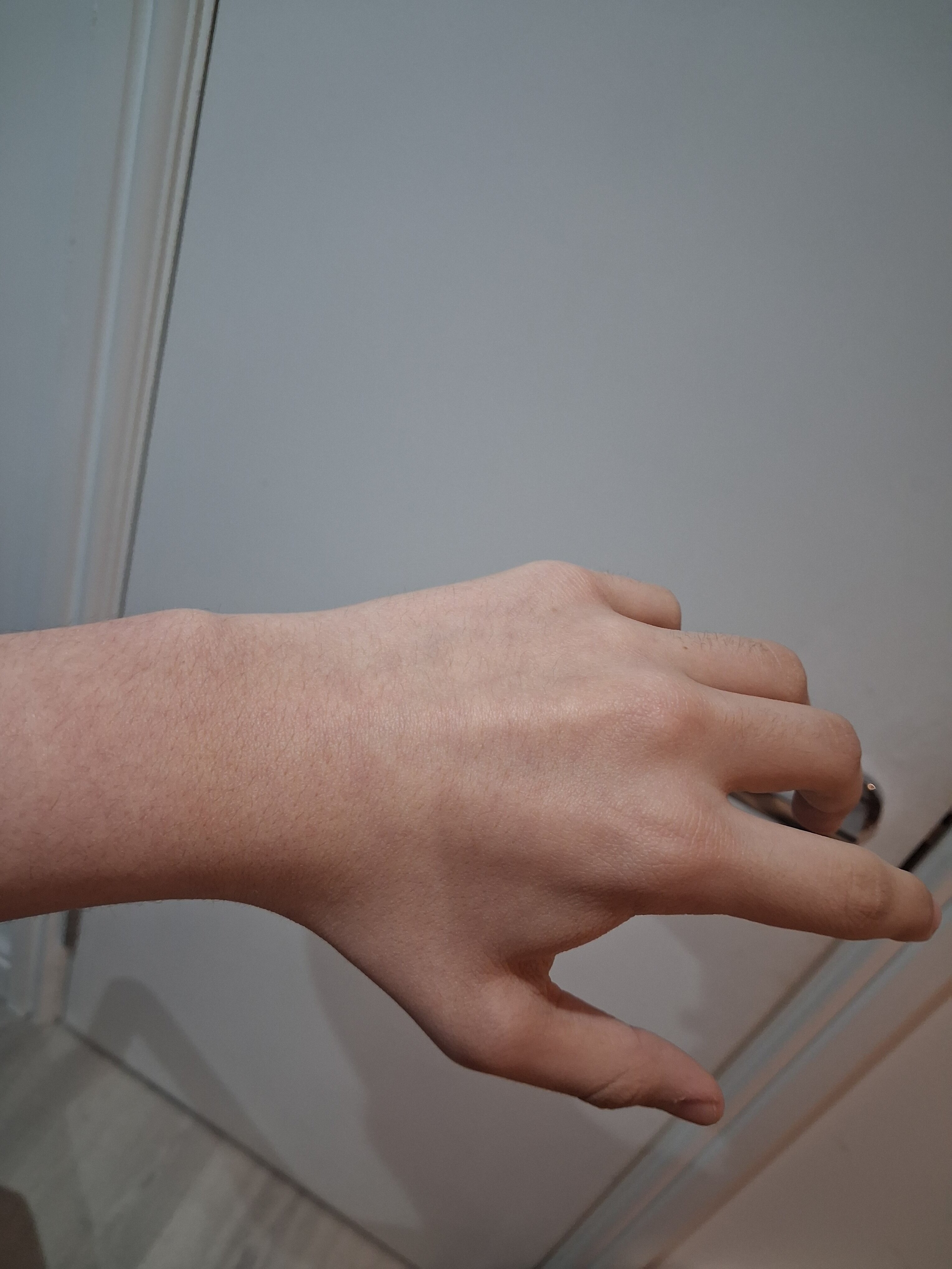 17650736844048314818335333237101