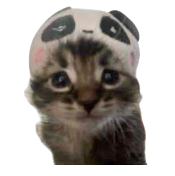 Bild 2025 11 13 183510760 8