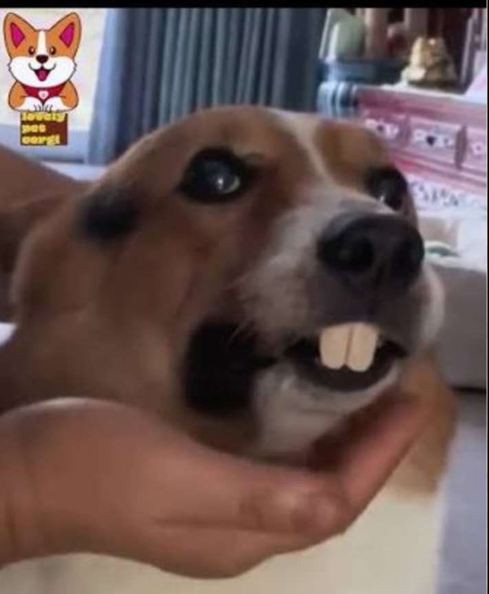 Screenshot 20251207 041646 Google