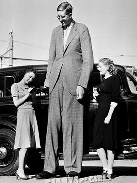 Robert wadlow the giant of illinois is the tallest 272 cm person in history c 1940
