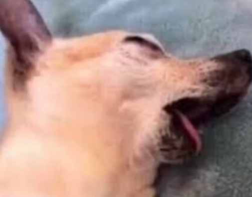 5486702 1761773007952