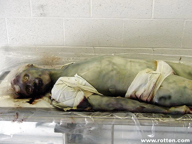 1735044889VnLrXDt2HLdm5g