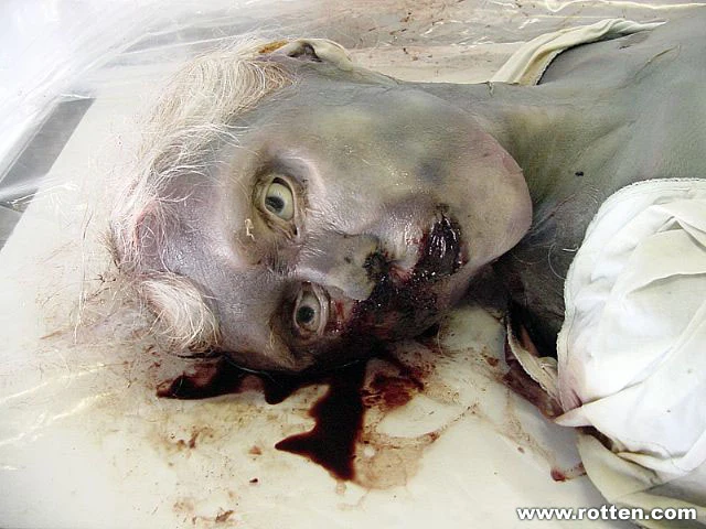 17350448893MCE3z5yEPMmeQ