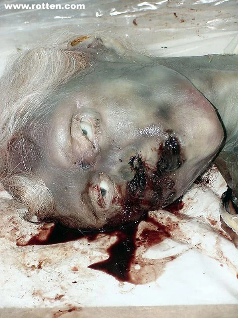 1735044889akZvU4HwcNNDiA