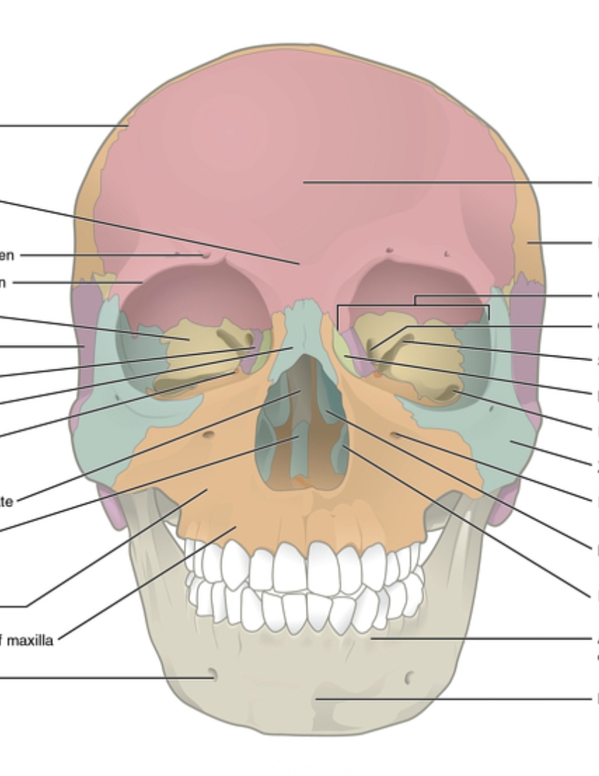 Screenshot 2025 12 08 12 36 57 666 comandroidchrome edit