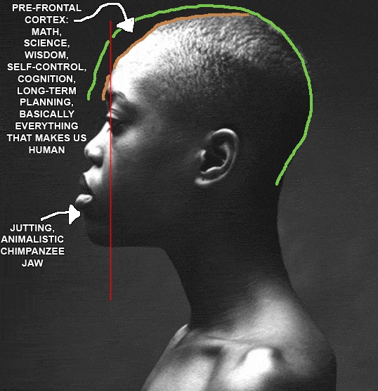 5001316 62c7b70ace30e