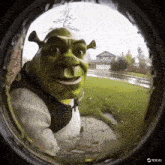 Look through the peephole shrek