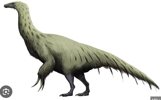 Screenshot 2025 12 10 14310 AM