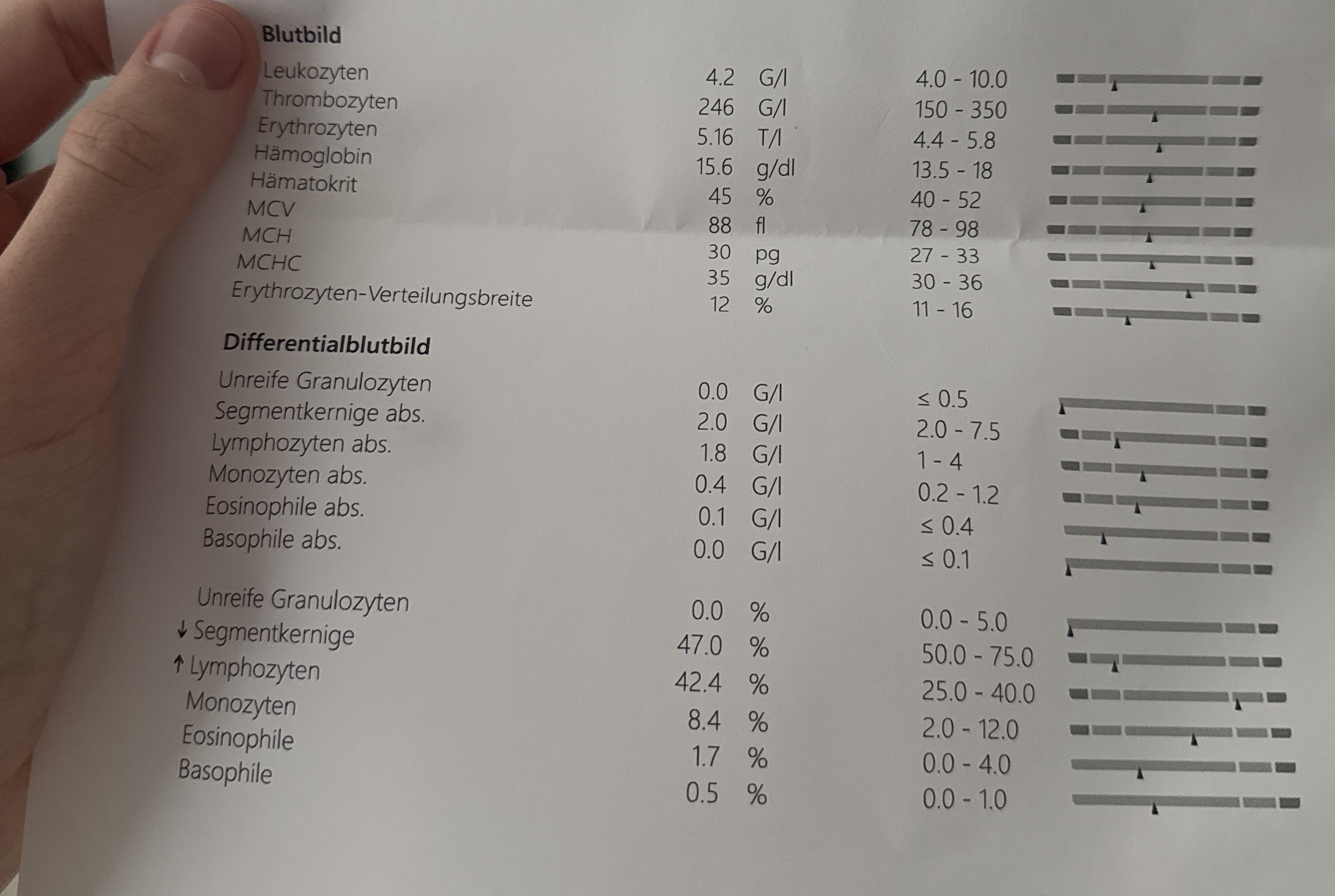 IMG 9F813919 6D18 444D AF82 D03FA93A5433