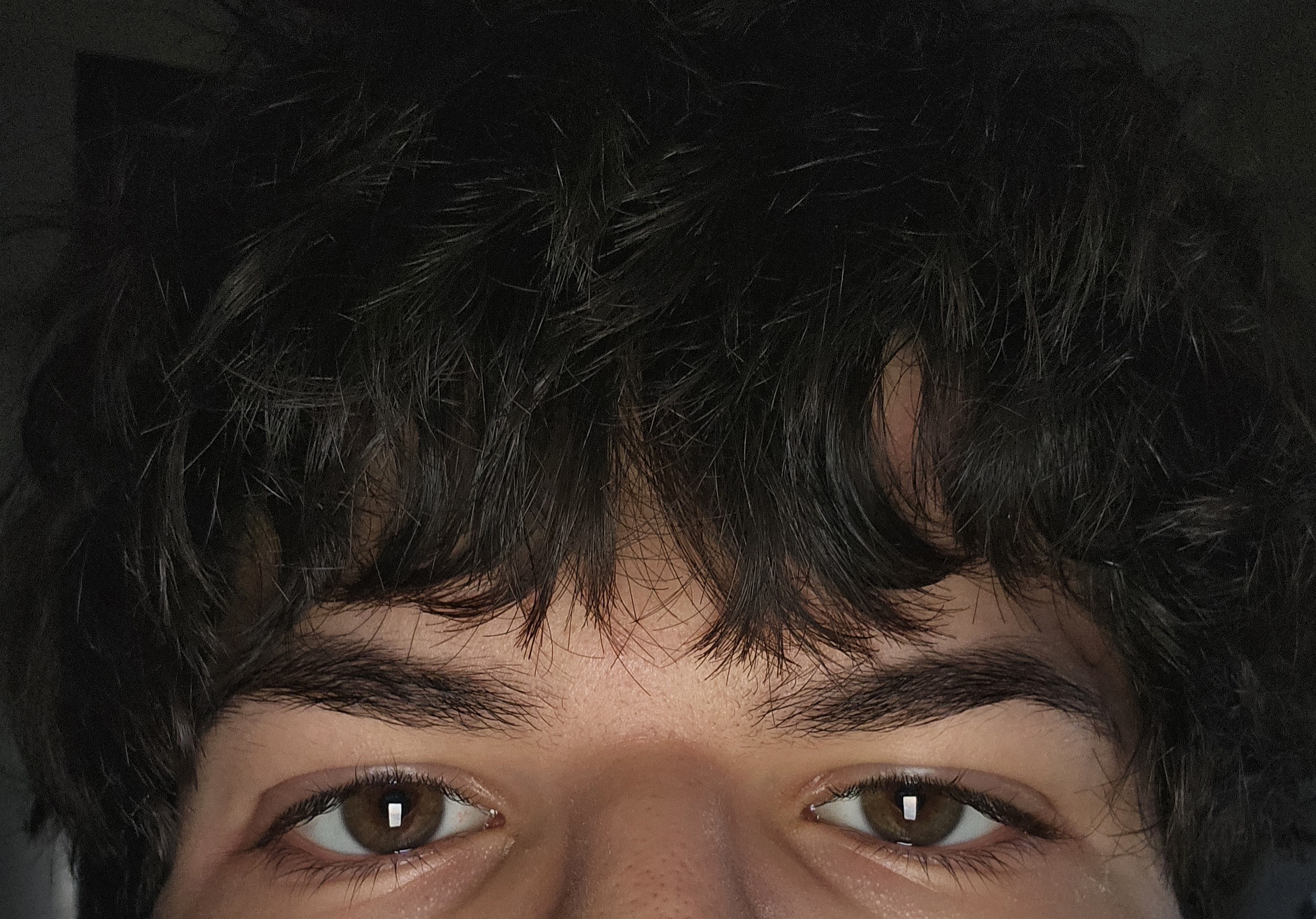 1000097231