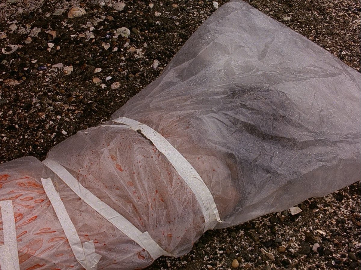 5637654 Snimek obrazovky 2025 11 06 182116