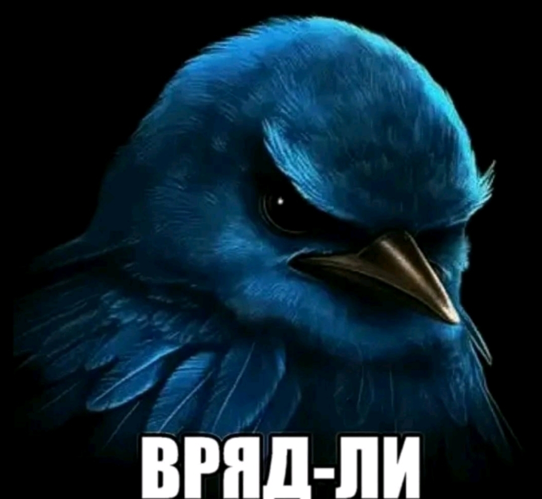 Screenshot 20251213 172933 TikTok