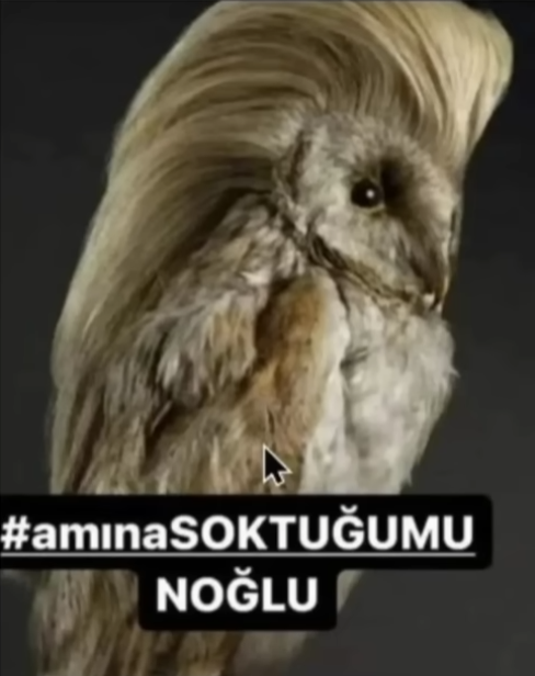 Ekran grnts 2025 12 14 211807