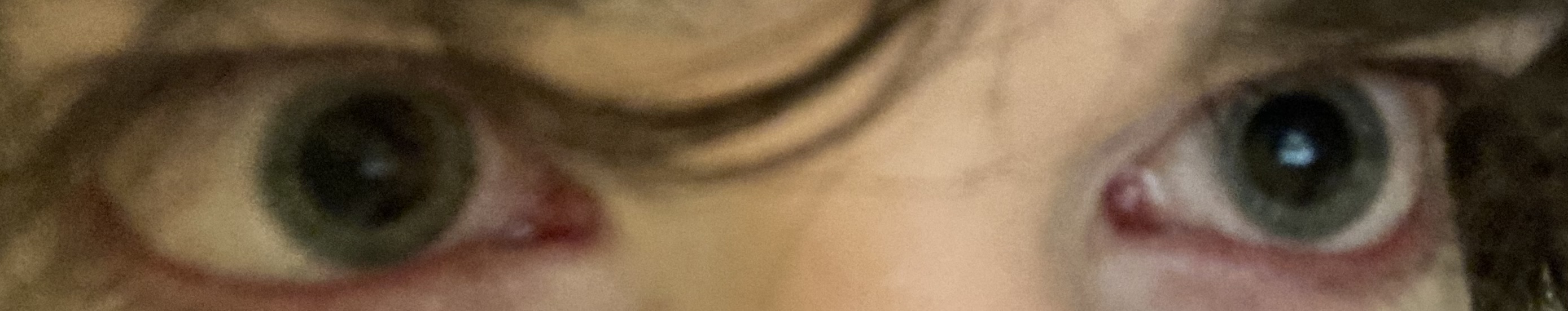 0C648FAA 2ECA 46CC BDC8 9010BF470553