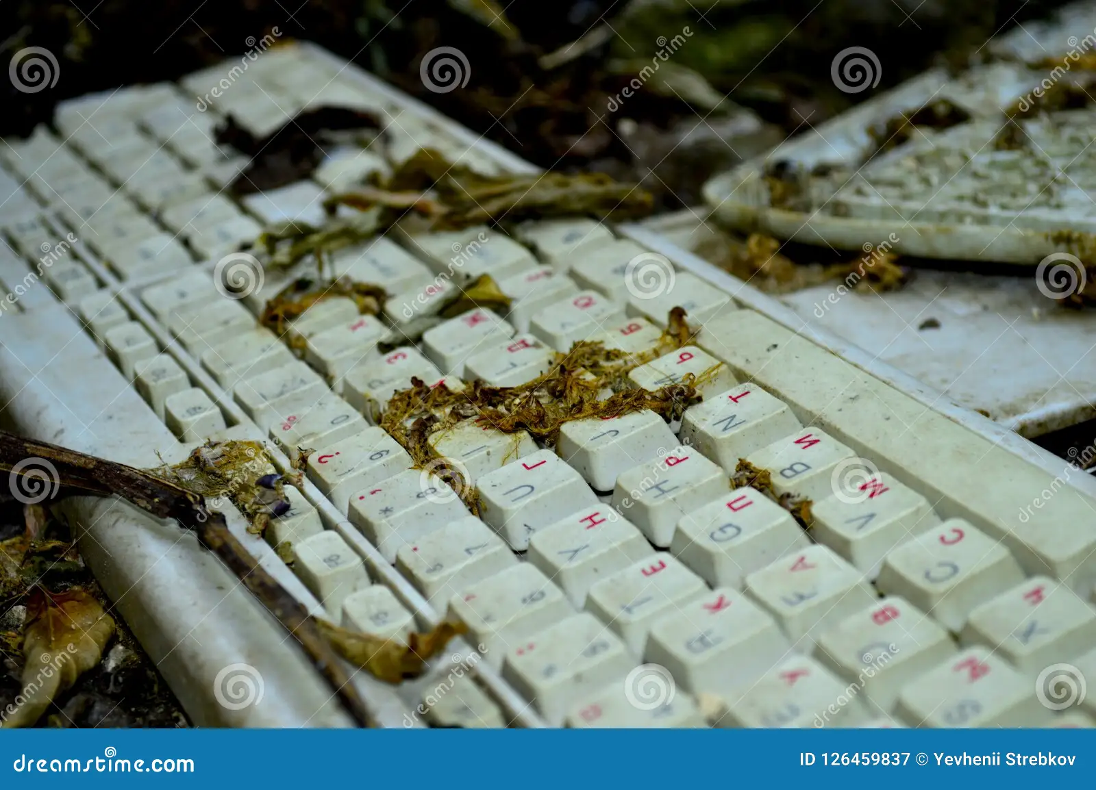 Keyboard old dirty dump keyboard old dirty dump close up 126459837